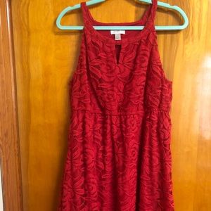 LOFT Knee Length Lace Overlay Dress